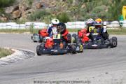 20110501_ales_agnus (3394)